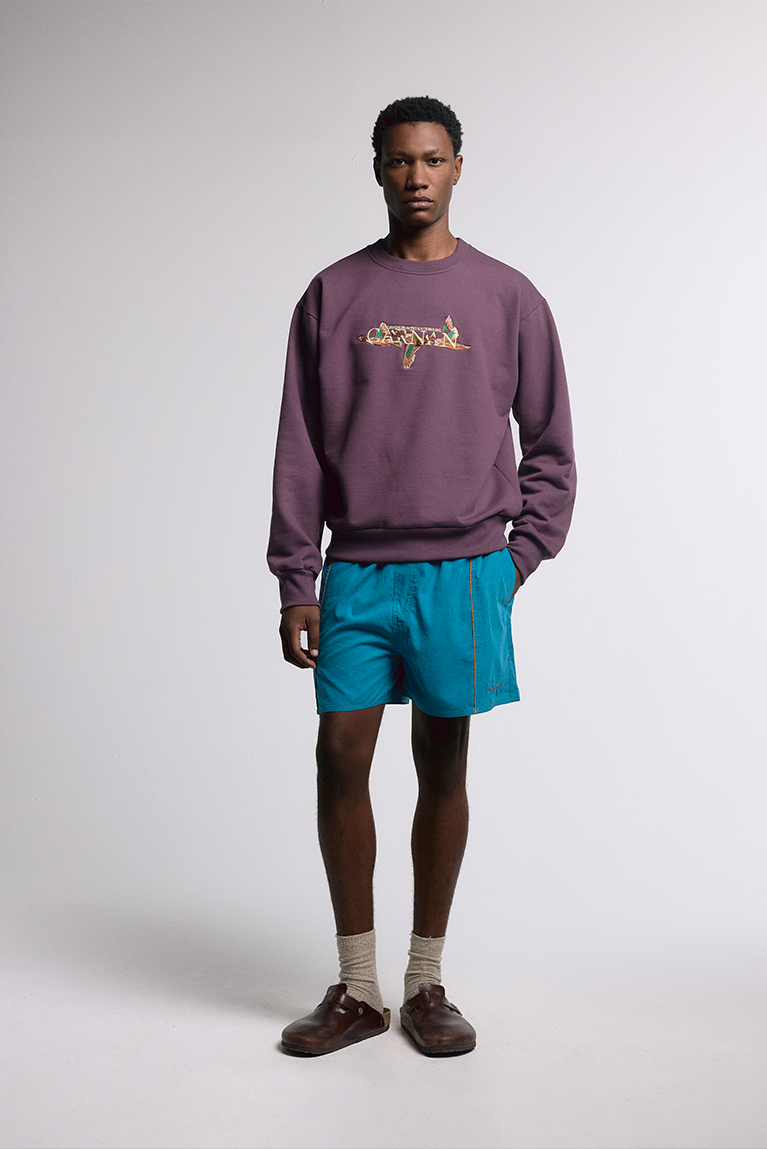 Ducks Sweatshirt