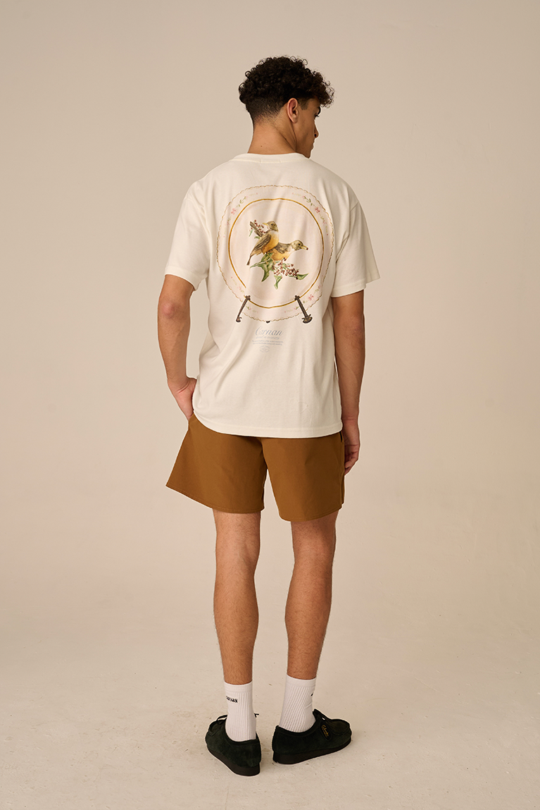 Brown Clipping Boardshort