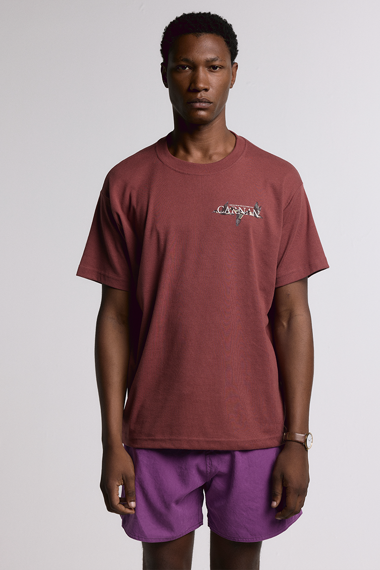 Ducks Heavy T-shirt - Burgundy