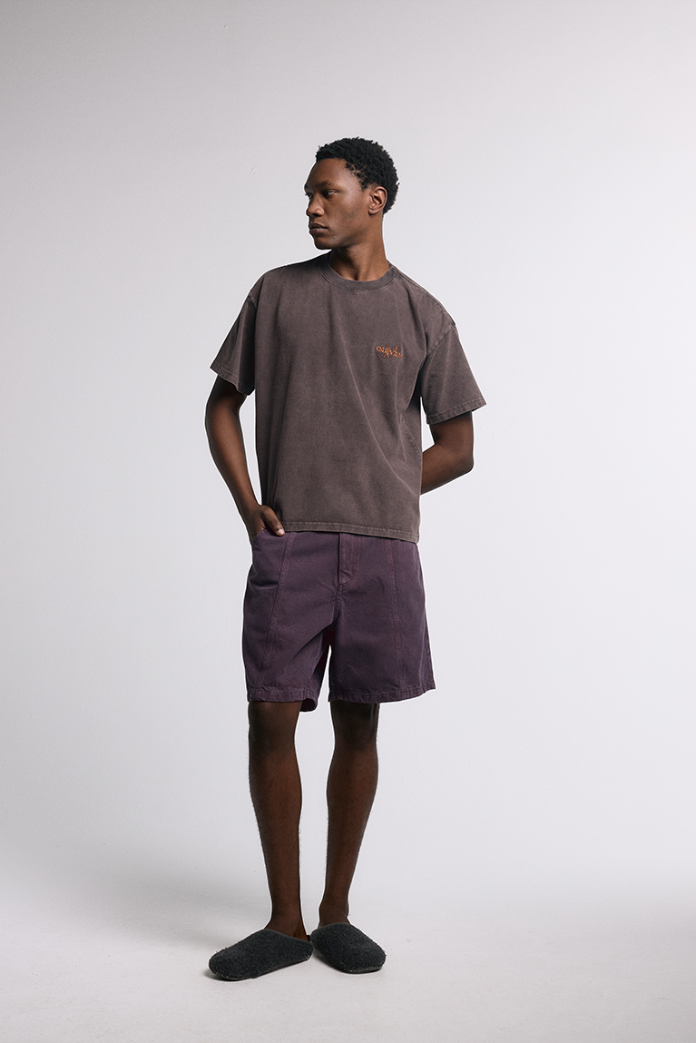 Purple Washed Twill Shorts - hover