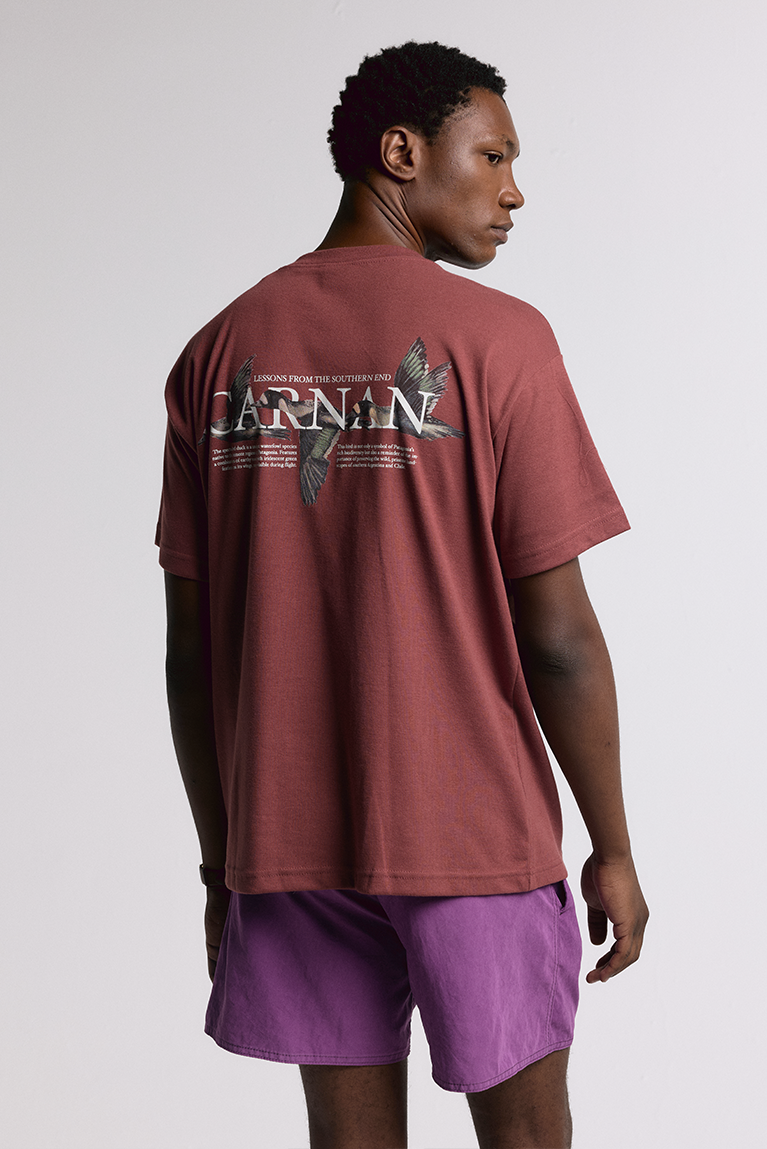 Ducks Heavy T-shirt - Burgundy