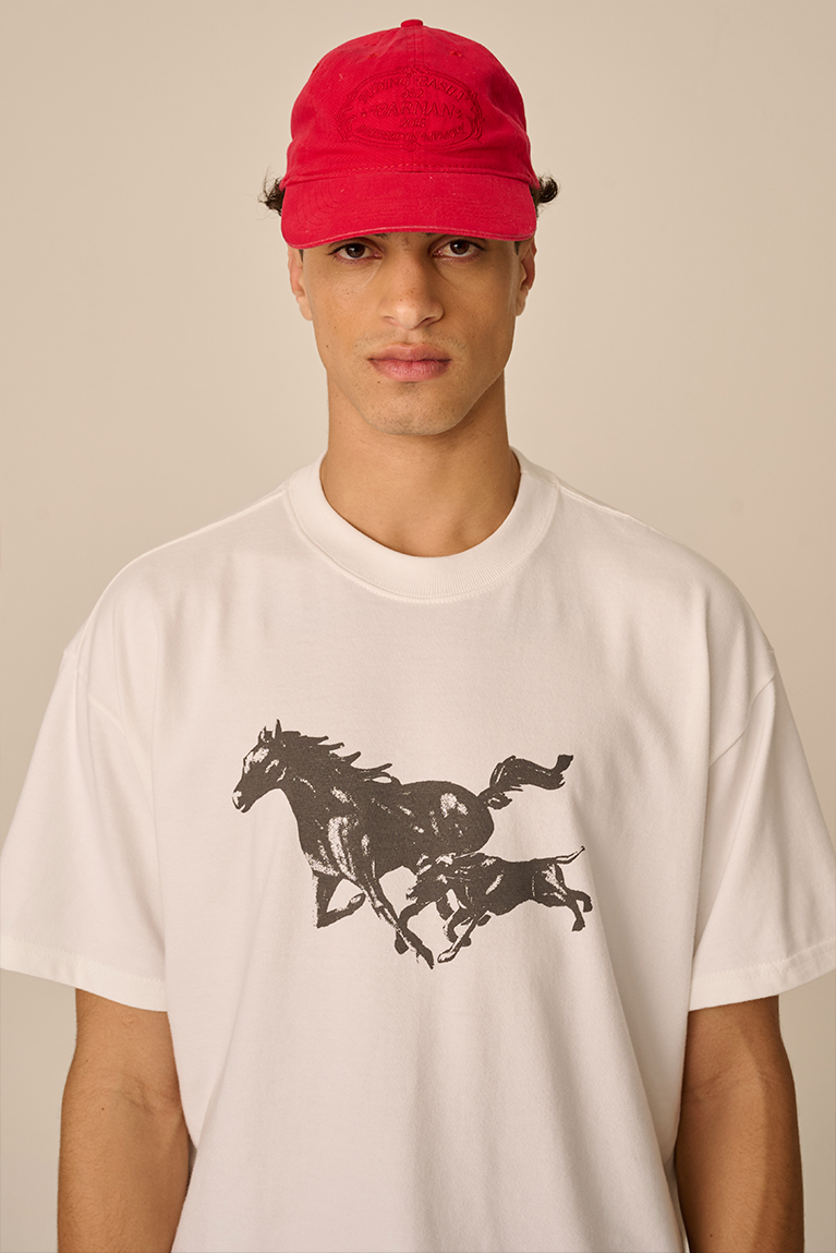 Home Crest Hat - Washed Red