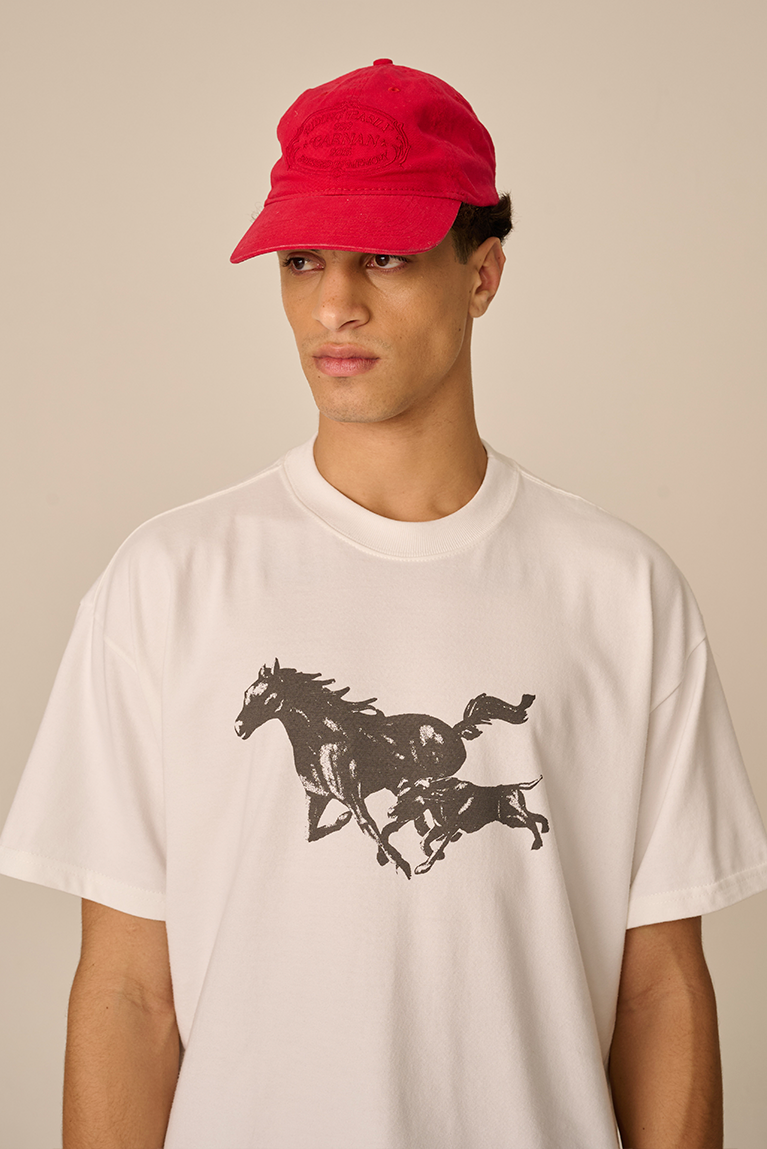 Home Crest Hat - Washed Red
