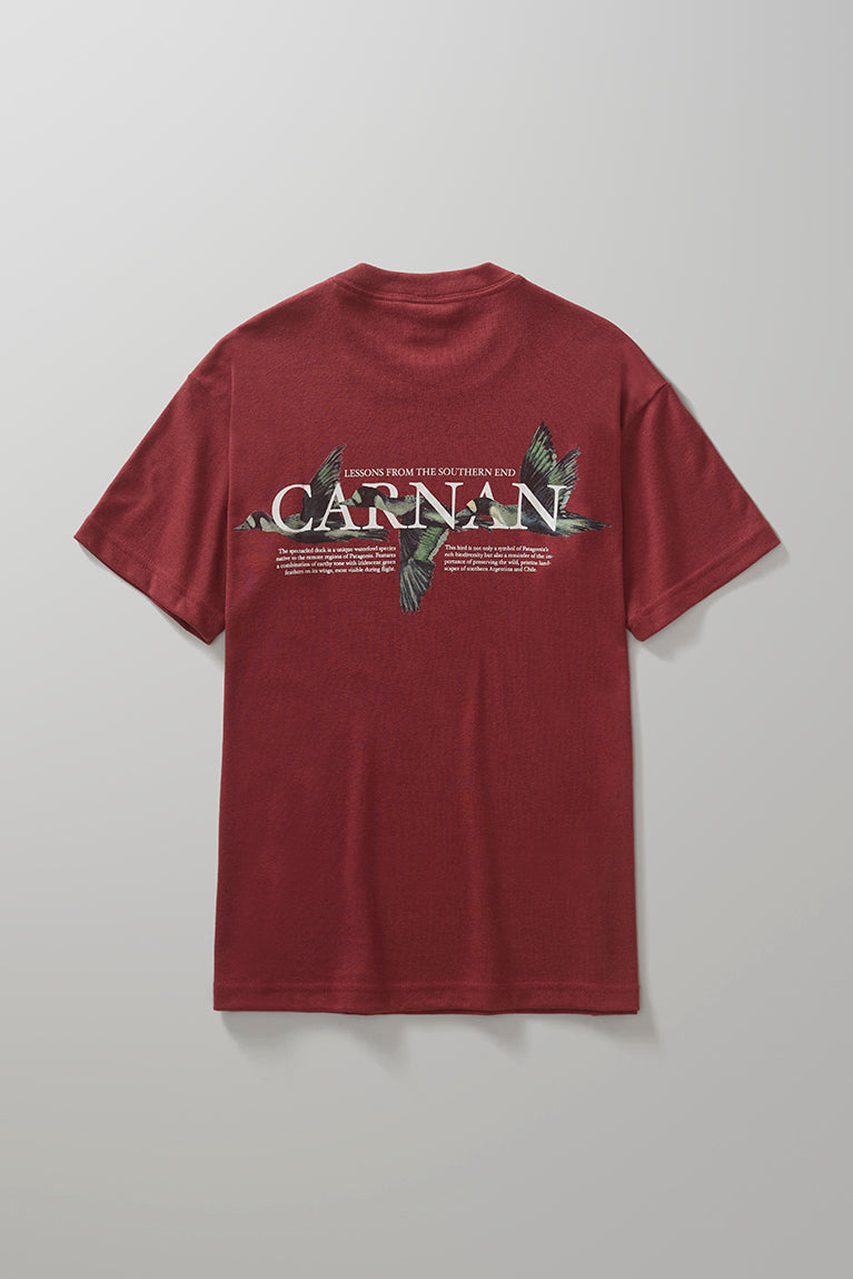 Ducks Heavy T-shirt - Burgundy