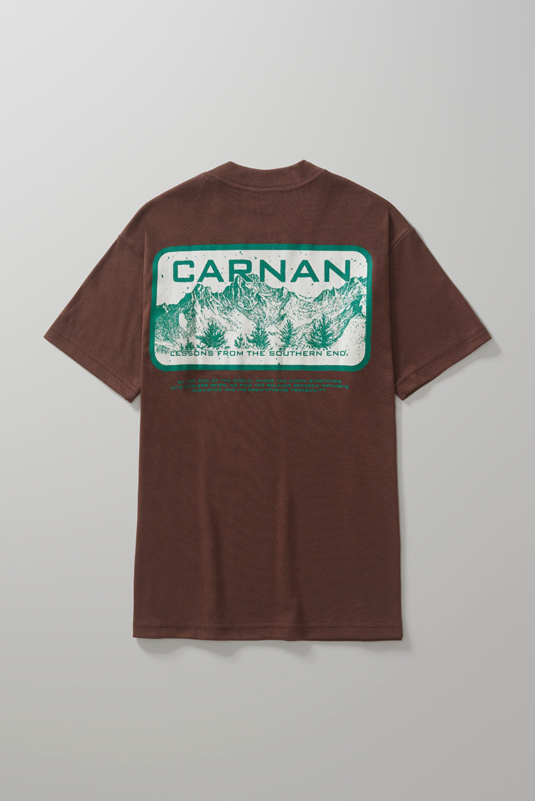 Mountain Heavy T-shirt - Brown