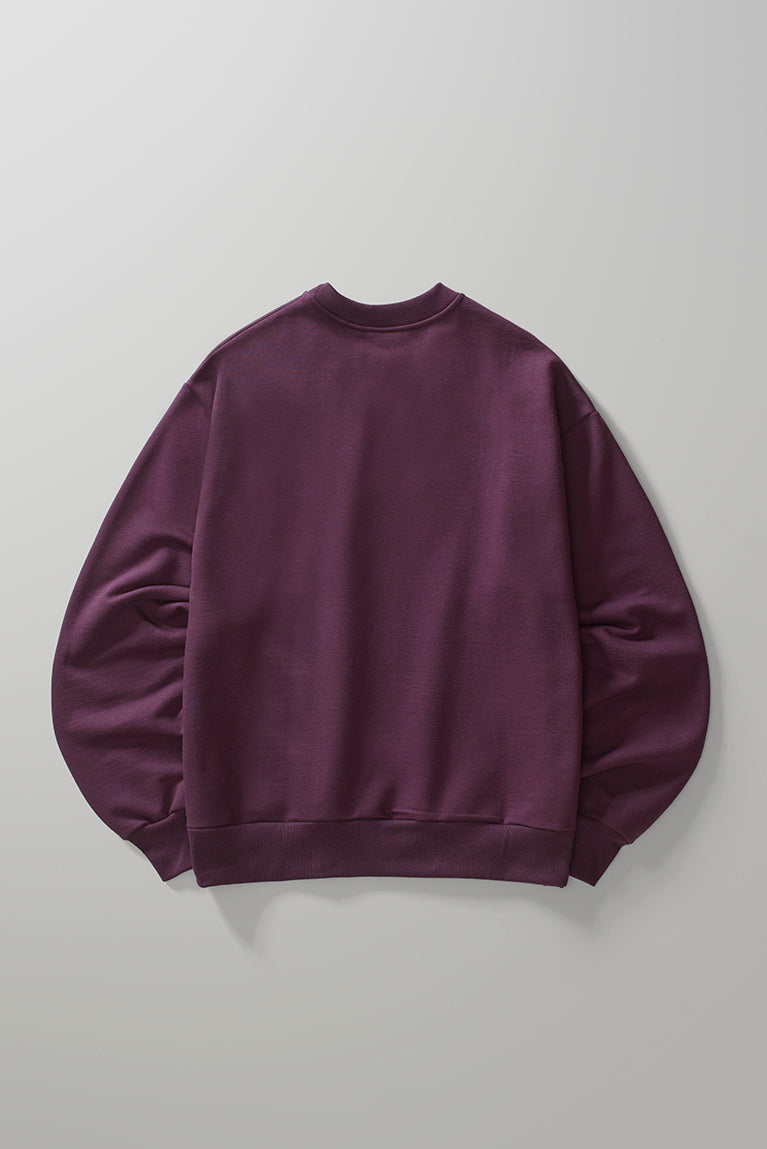 Ducks Sweatshirt