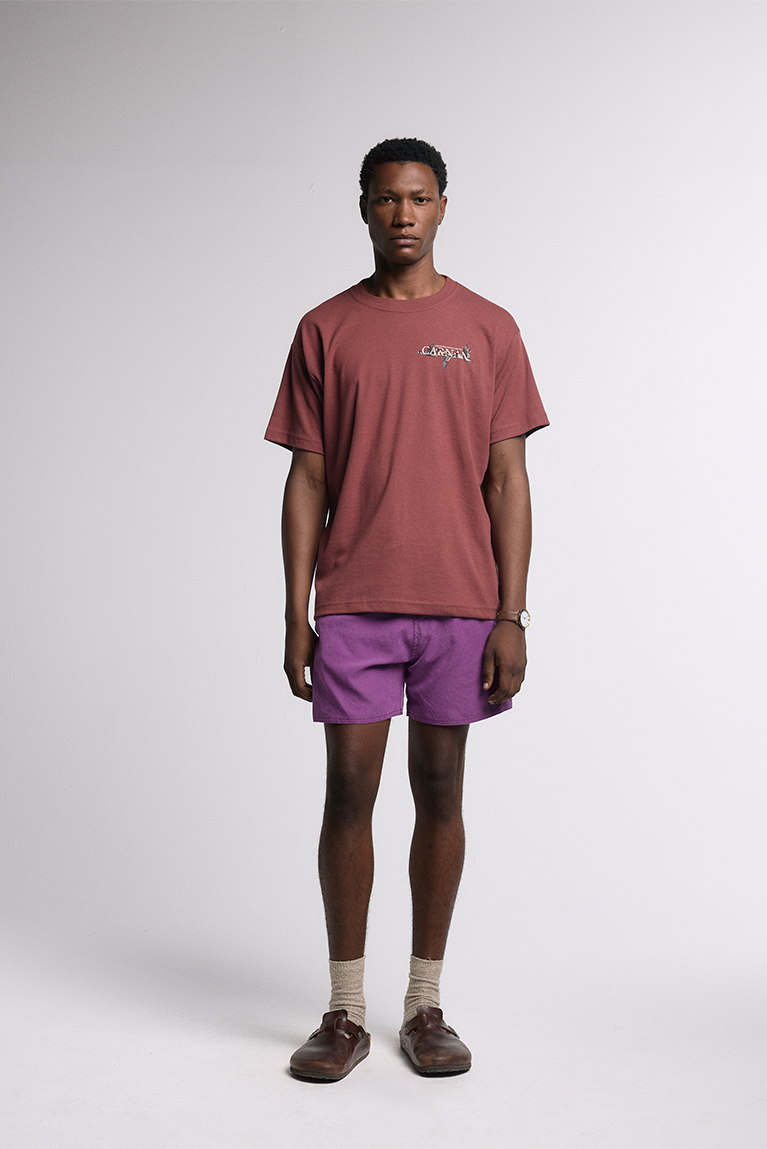 Ducks Heavy T-shirt - Burgundy - hover