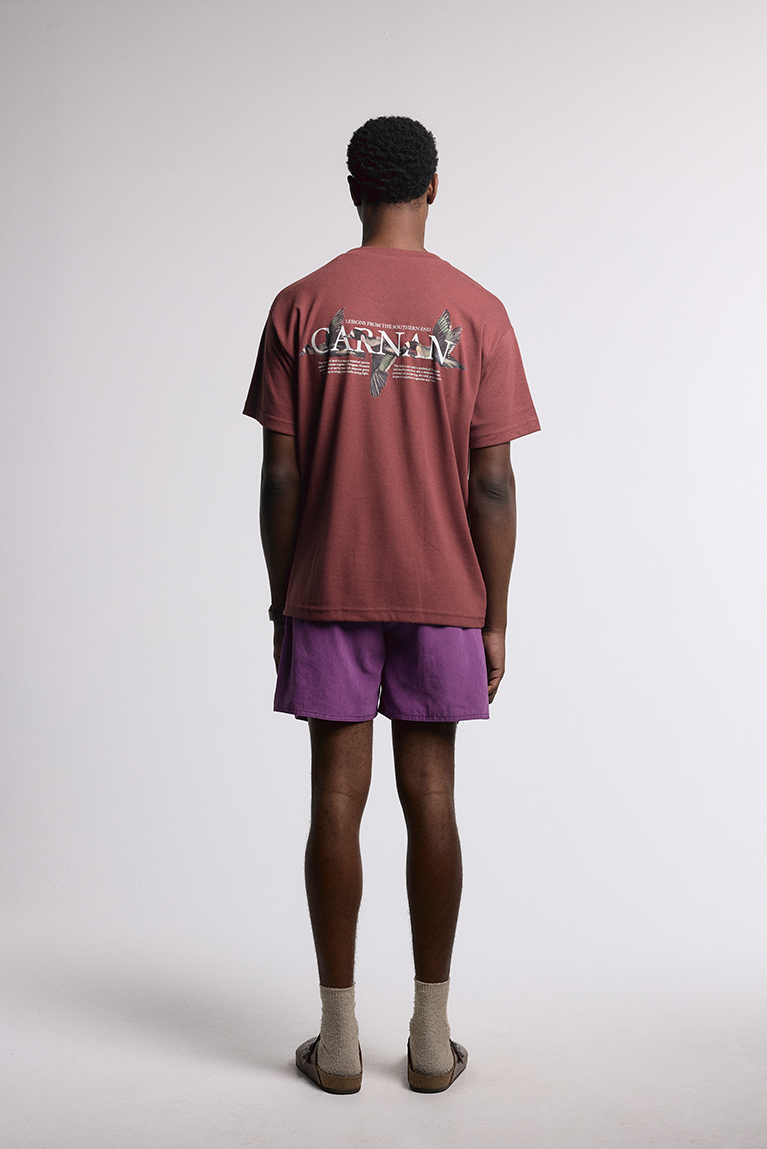 Ducks Heavy T-shirt - Burgundy - hover