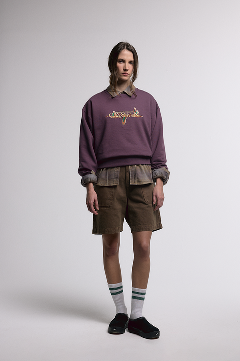 Ducks Sweatshirt - hover