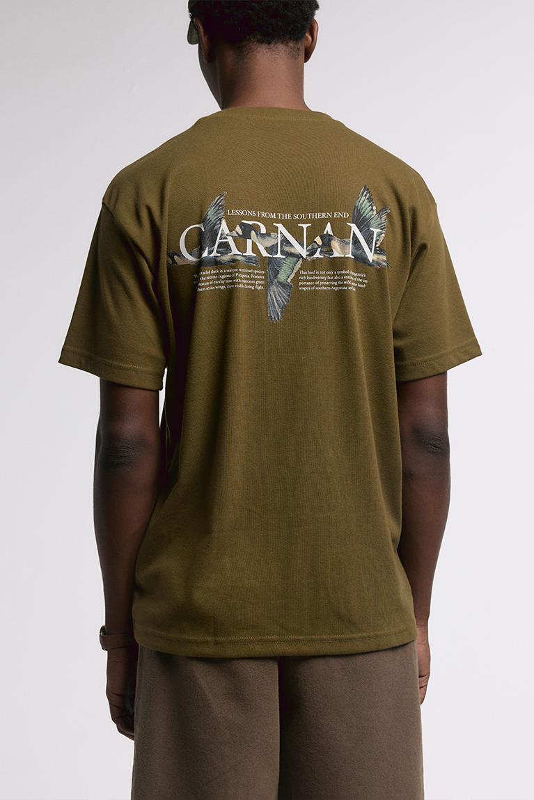 Ducks Heavy T-shirt - Green - hover