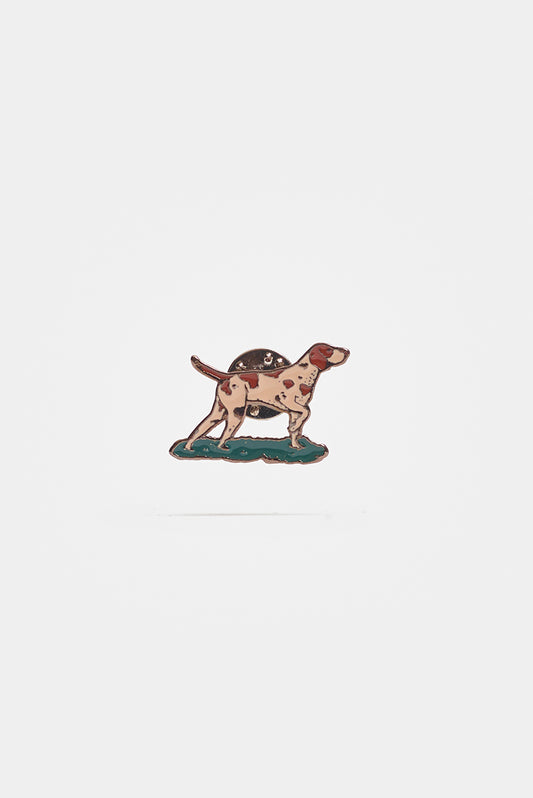 Pointer Pin