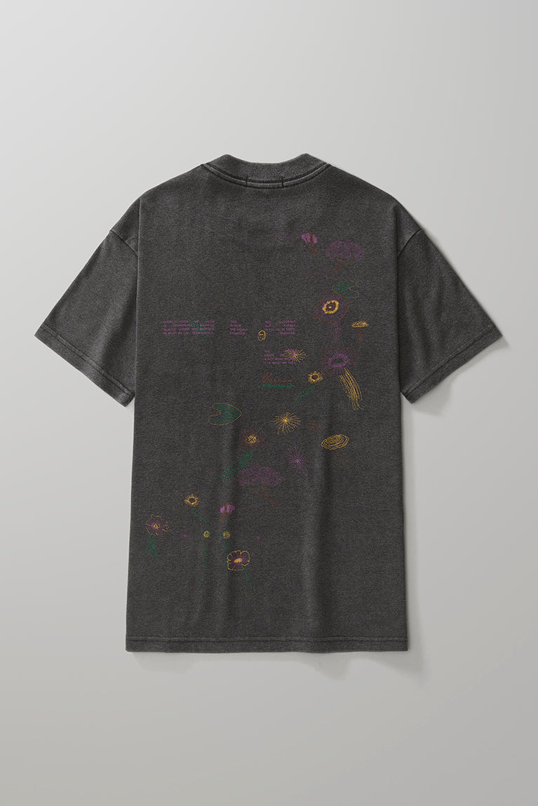 Ecosystem Heavy T-shirt - Washed Black